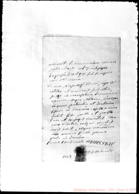 Fotogramma C 7