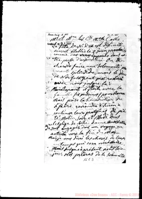 Fotogramma C 3