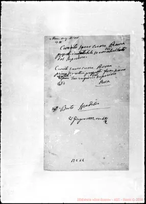 Fotogramma C 11