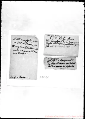Fotogramma C 11