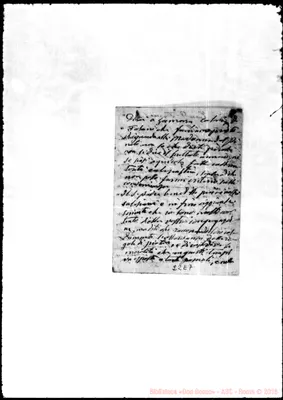 Fotogramma E 7