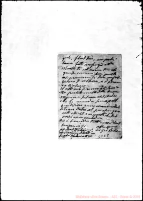 Fotogramma E 8