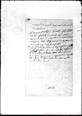 Fotogramma C 7