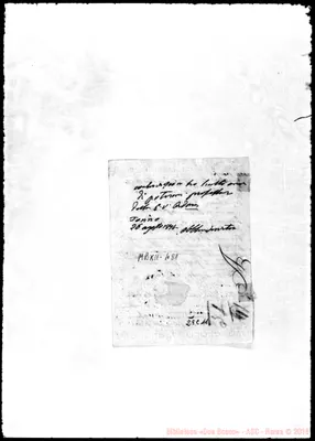 Fotogramma C 11