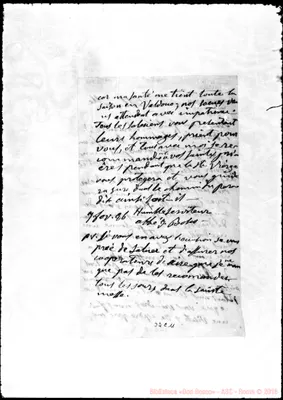 Fotogramma C 11