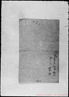 Fotogramma D 10