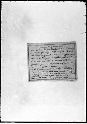 Fotogramma C 11