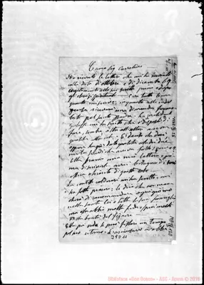 Fotogramma D 11