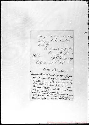 Fotogramma E 2