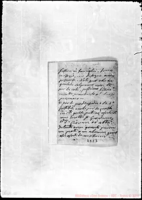 Fotogramma C 7