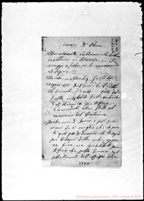 Fotogramma D 11
