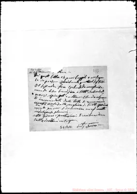 Fotogramma B 10
