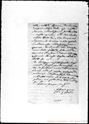 Fotogramma D 11