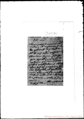 Fotogramma D 11