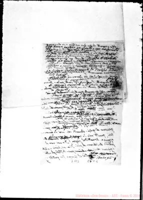 Fotogramma D 1
