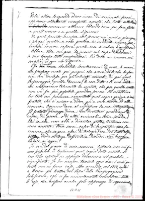 Fotogramma A 11