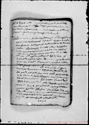 Fotogramma C 3