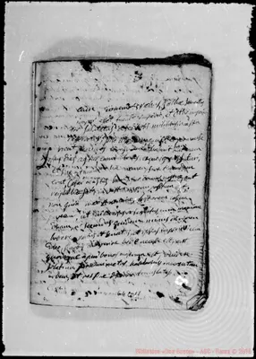 Fotogramma C 11