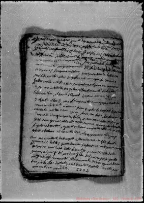 Fotogramma D 2