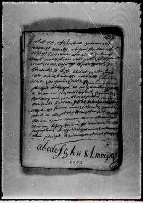 Fotogramma D 3