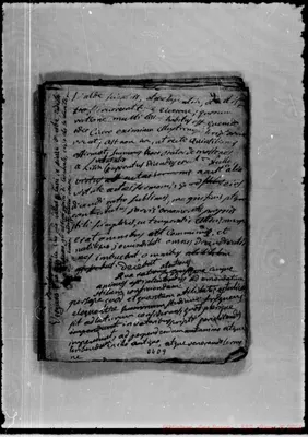 Fotogramma D 9