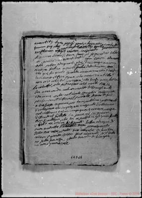 Fotogramma D 11