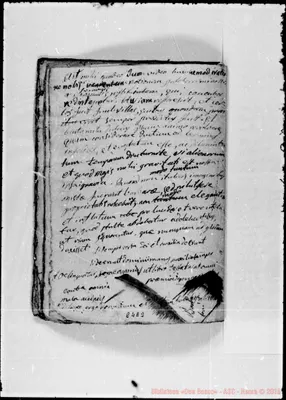 Fotogramma E 2