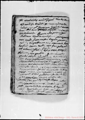 Fotogramma E 8