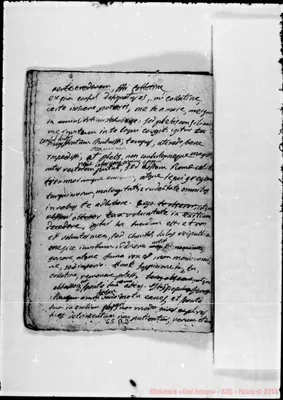 Fotogramma B 2
