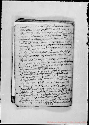 Fotogramma C 2