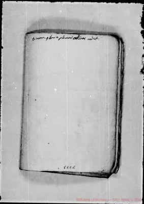 Fotogramma C 5