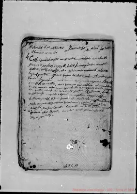 Fotogramma C 11