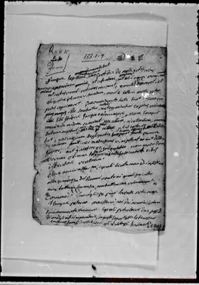 Fotogramma D 11