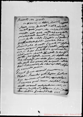 Fotogramma E 8