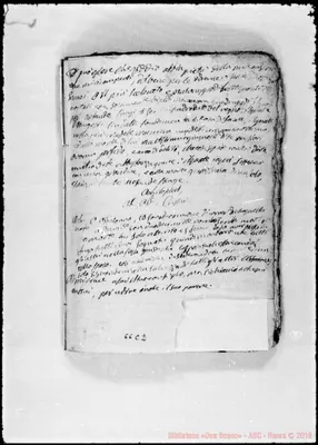 Fotogramma C 2