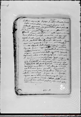 Fotogramma C 11