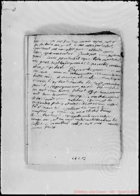 Fotogramma C 12
