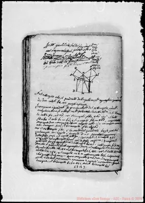 Fotogramma B 3