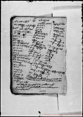 Fotogramma C 2
