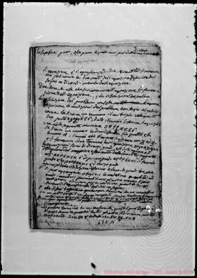 Fotogramma C 11