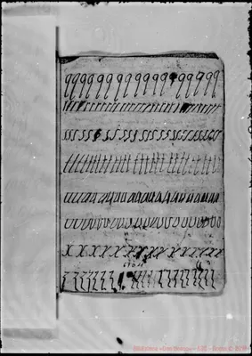Fotogramma D 11