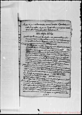 Fotogramma E 7