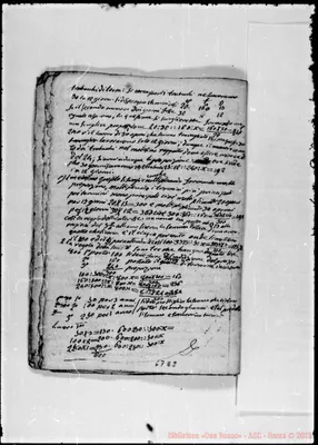 Fotogramma E 8