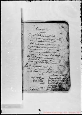 Fotogramma C 1