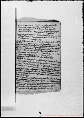 Fotogramma D 3