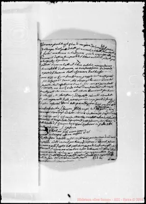 Fotogramma E 1