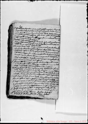 Fotogramma E 2