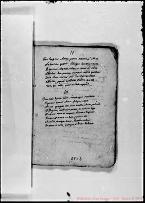 Fotogramma C 2
