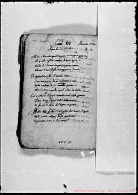 Fotogramma C 11