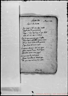 Fotogramma C 12